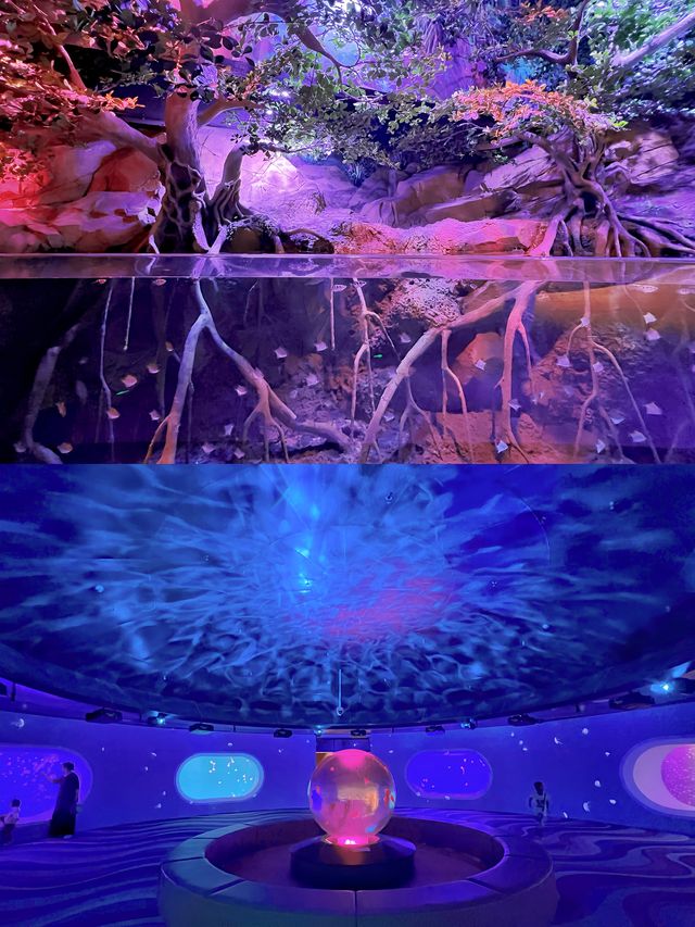 隱於「海夢一方」商場內的「空中海洋館」! 隱於「海夢一方」商場內的「空中海洋館」!