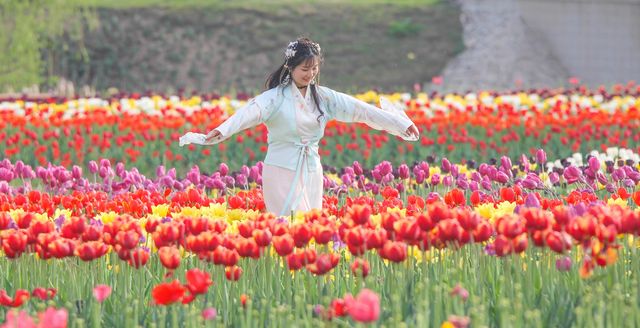 正青春，去木蘭花鄉賞花吧