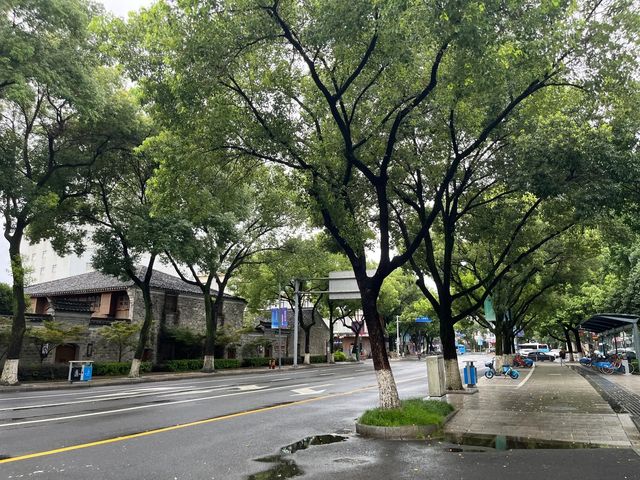 匆匆來寧波又匆匆地走，功課真是沒做足