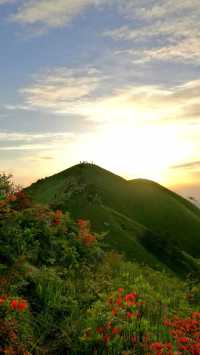 萍鄉武功山