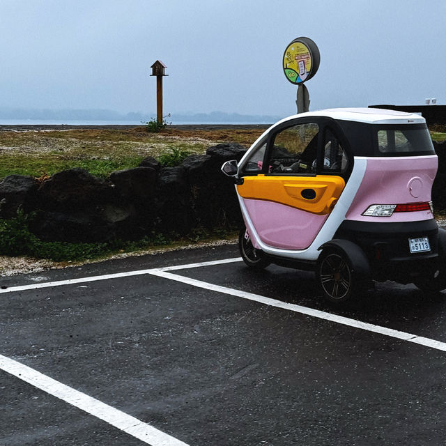 A Cow island of Jeju 🐄🏝️