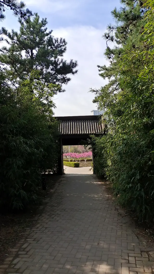 Spring at the Beijing Garden Expo Park