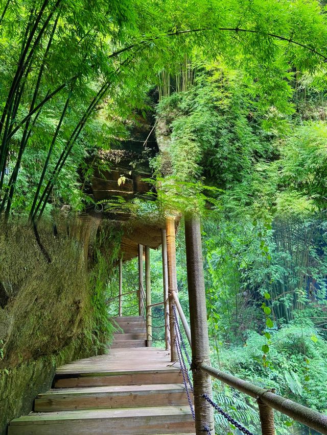 成都周邊一個可以徒步吸氧的竹林景區