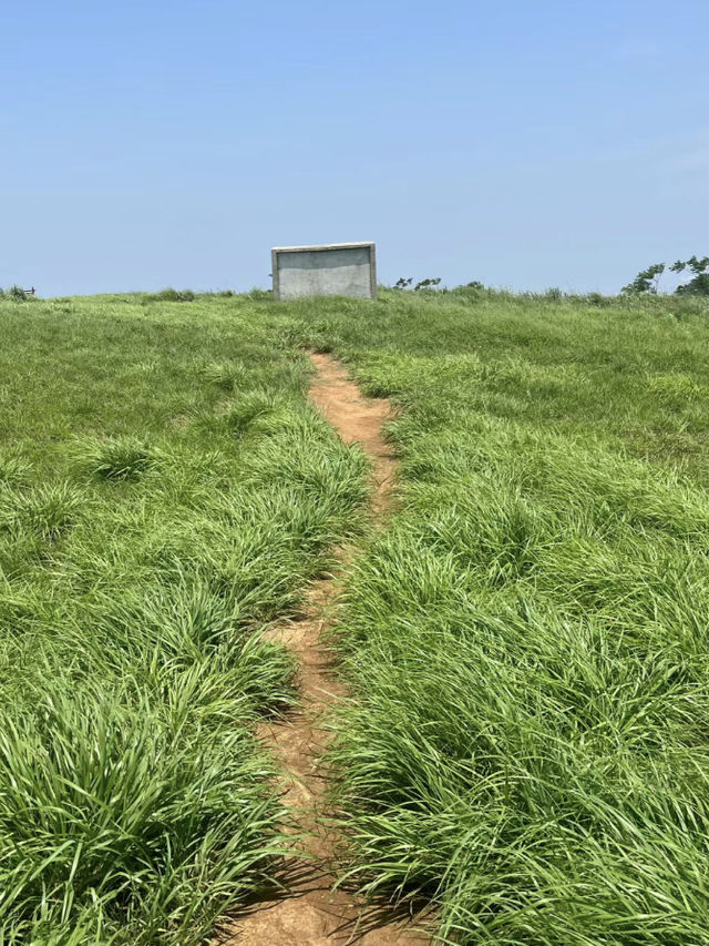 武漢周邊自己的大草原