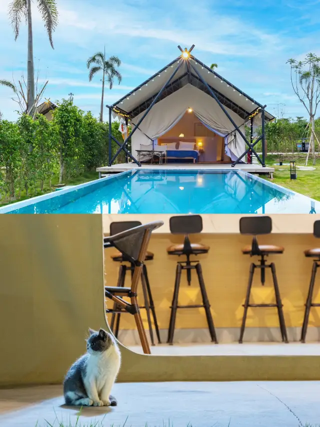 Independent courtyard + swimming pool! A luxurious camping site hidden in Nanhai, Foshan