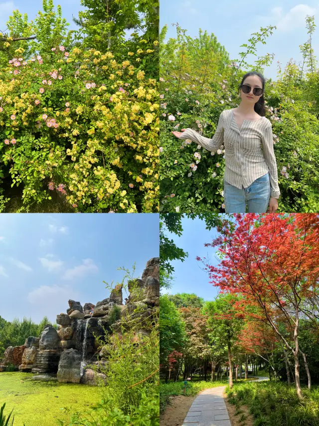 Enjoying the blooming flowers and the freshness of greenery at the botanical garden | A wonderful weekend time