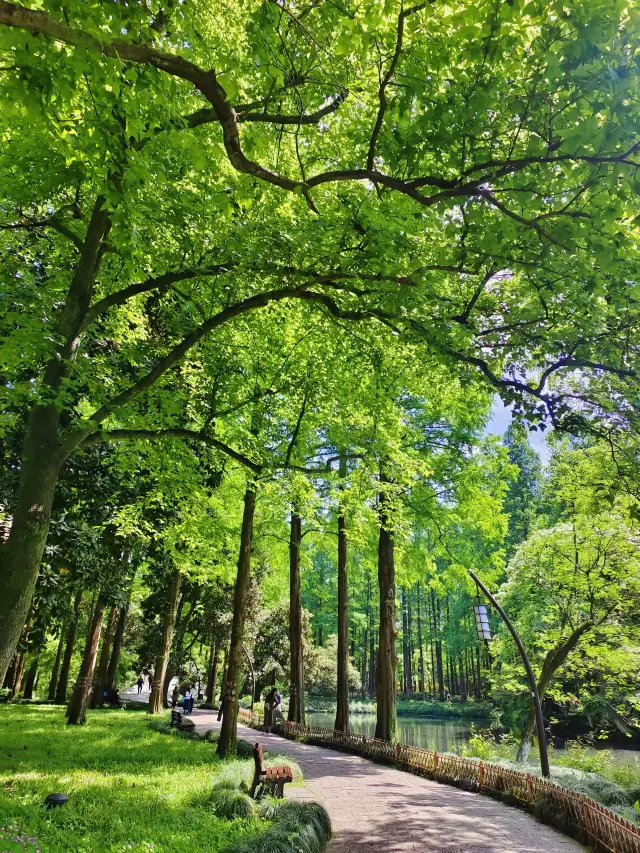 湖邊散步  杭州