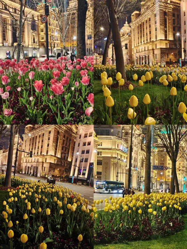 原來春天這麼美，幸好沒有腐爛在冬天