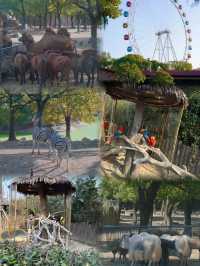 上海野生動物園攻略：春日親子遊，歡樂無限！