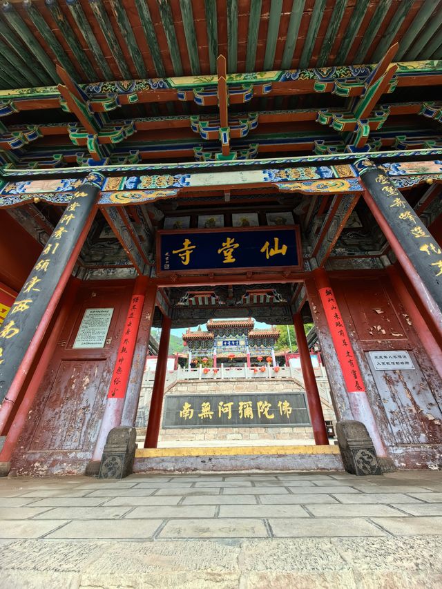 暑期來山西長治仙堂山撸小獅子