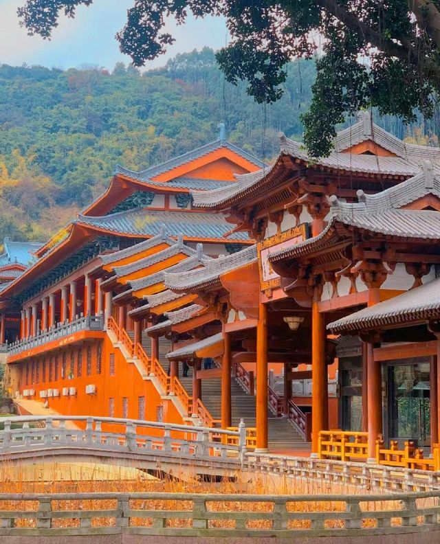 福州萬佛寺！live圖夢回宋朝||