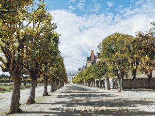 I have finally arrived at the other side of the Anywhere Door, Fontainebleau, the spring, palace, and forest described by Zhu Ziqing