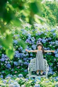 長沙夏天也能賞花這3個地方能遛娃還出片