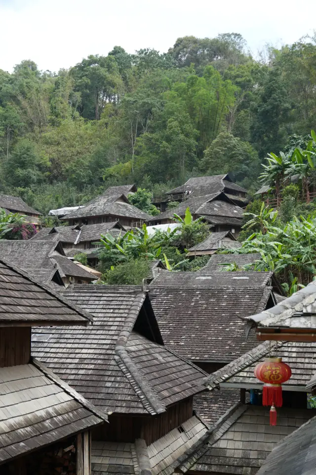 Jingmai Mountain! A great place to unwind on the weekend