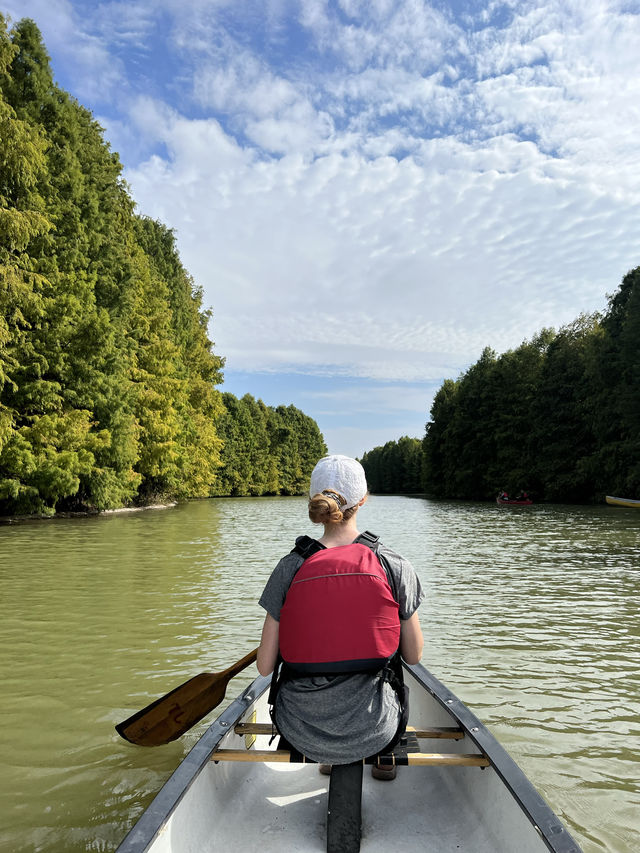 Canoeing Around Shanghai Haiwan National Forest Park 🛶