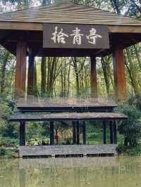 逃離喧囂，擁抱自然：南寧高峰森林公園的完美一日遊