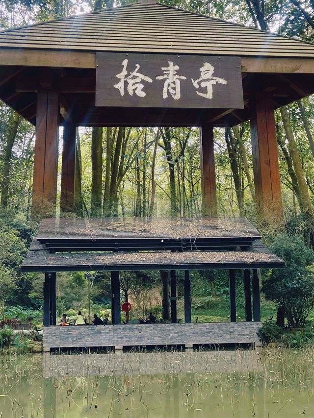 逃離喧囂，擁抱自然：南寧高峰森林公園的完美一日遊