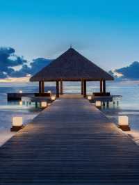 🏝️ Maldives Magic: Top Picks at Dhawa Ihuru 🌟