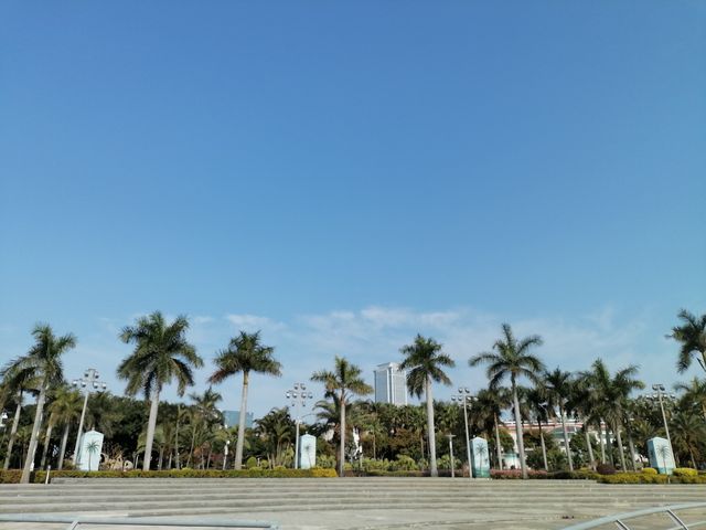 城市內非常好的公園