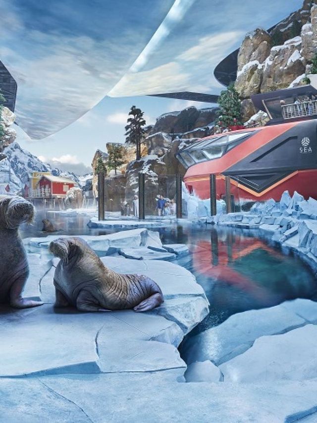 🌟 Abu Dhabi's Ultimate Family Fun Guide 🎢👨‍👩‍👧‍👦