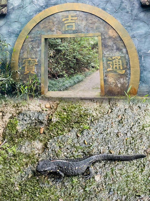 十八渦景區丨最熱的時候也不過26℃，是逃離炎炎夏日的理想之地