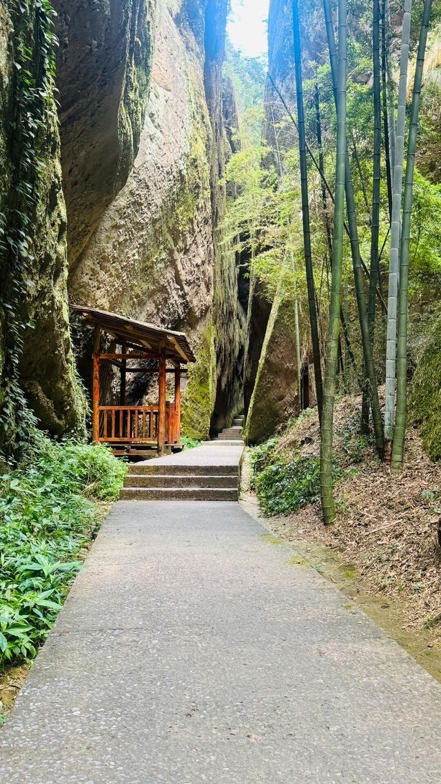 探索邵陽：避暑天堂，文化瑰寶