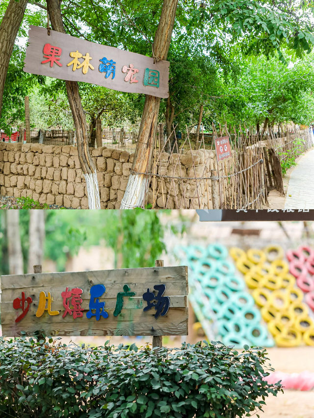 不一樣的寧夏之旅黃羊古落||