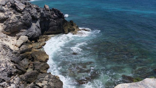 女人島珊瑚浮潛之旅，盡享海島風情美食。