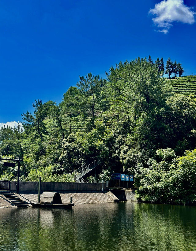 安吉｜住在治癒系風景裡🩹。