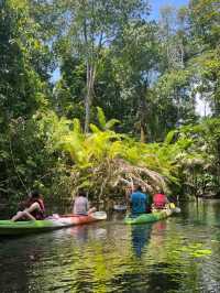 The Mirror Lake kayaking is Amazingly Beautiful Experience🥰