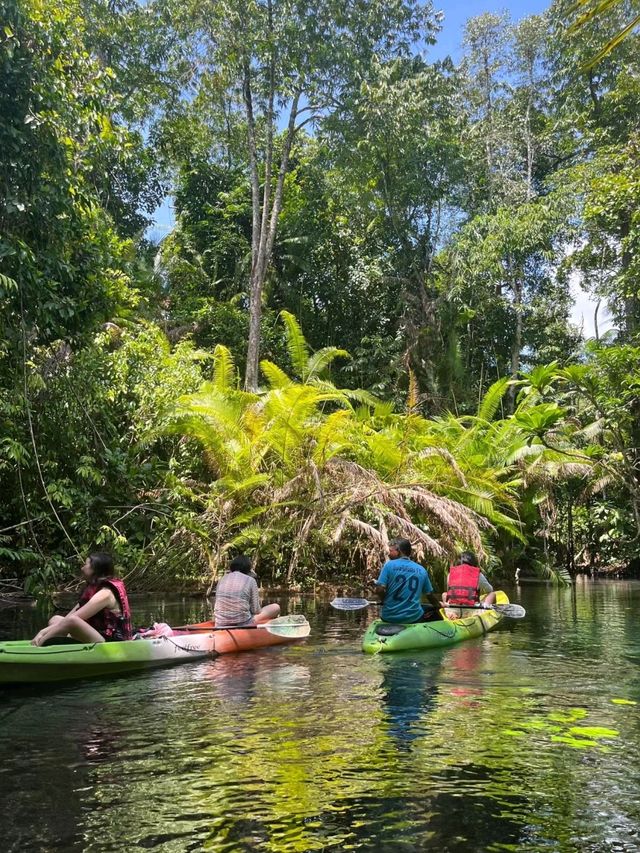 The Mirror Lake kayaking is Amazingly Beautiful Experience🥰