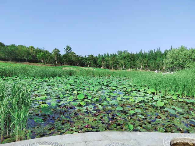 遠離城市喧囂 盡享天然氧吧。