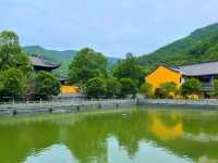 中國唯一以印度國王命名的寺院，始建於晉朝。