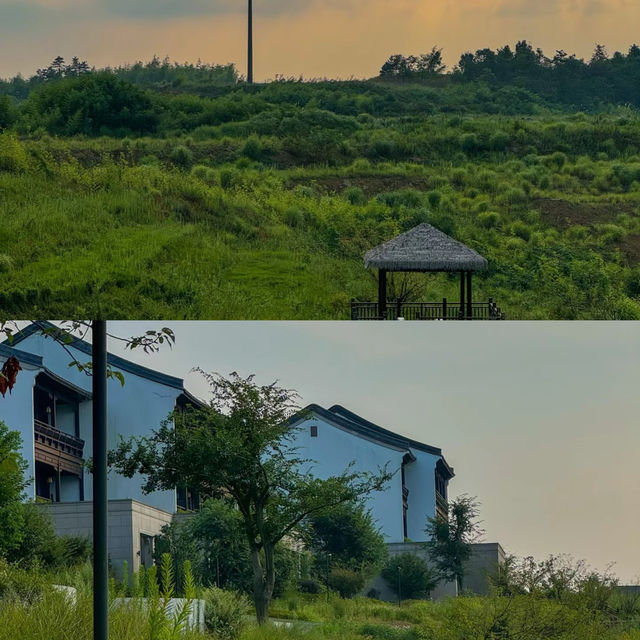 •雲端之上的靜謐時光|天台山星野嘉助。