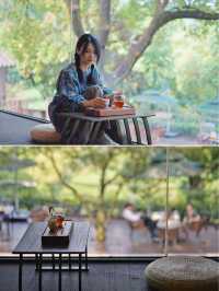 杭州｜龍井茶山上的仙境下午茶，只此青綠。