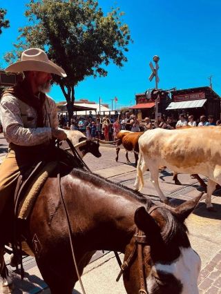 Venture into the world of cowboys - Dallas travel guide.