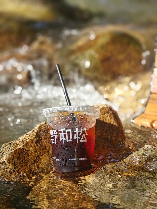 逃離煩囂，衡山竹海山居等您來！