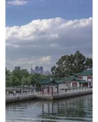 雲南昆明杏林大觀園丨體驗一次康養之旅。