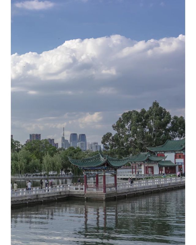 雲南昆明杏林大觀園丨體驗一次康養之旅。