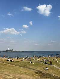 青島海之戀！小麥島旁的夢幻仙境！免費。