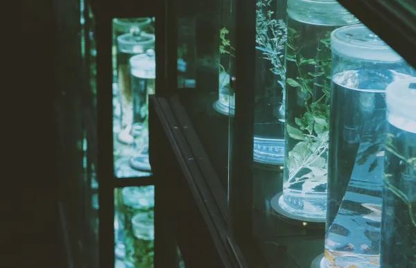 一定是廣州夢核感最強的博物館❗📸
