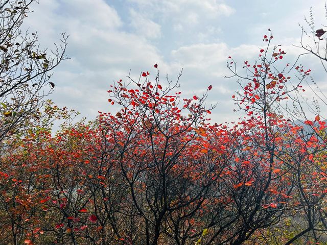 北京金海湖 | 一半山川一半湖海，快去美瘋了！。