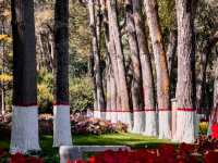 Stunning Park in Xining!