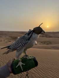 Dubai can provide you whatever you ask; The city of records and entertainment 