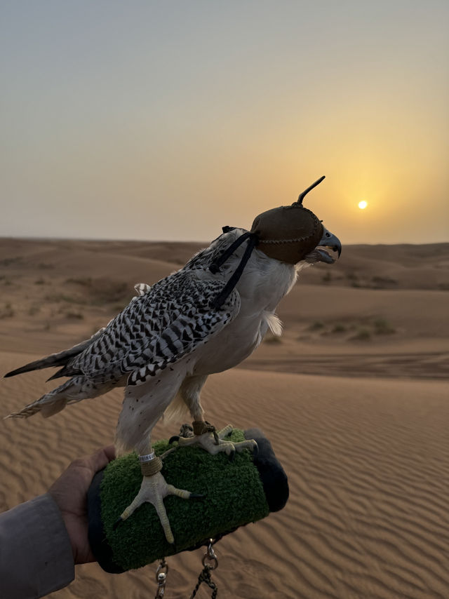 Dubai can provide you whatever you ask; The city of records and entertainment 