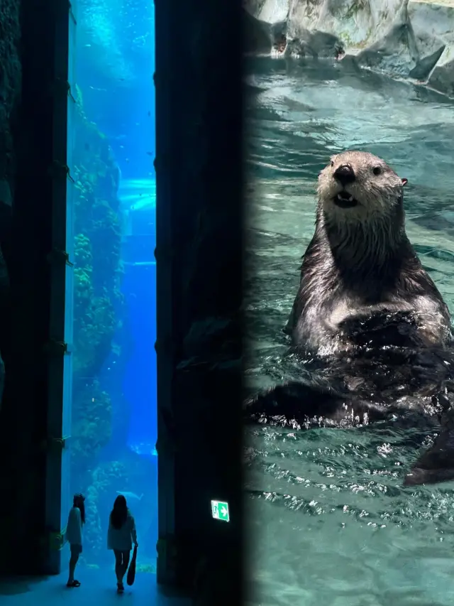 Sea World, the world's largest underwater world. 