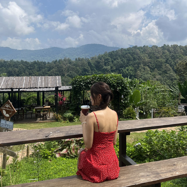코끼리를 만날 수 있는 이색 카페 🐘☕️