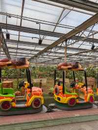 南宮五洲植物園——秋季親子遊好去處。