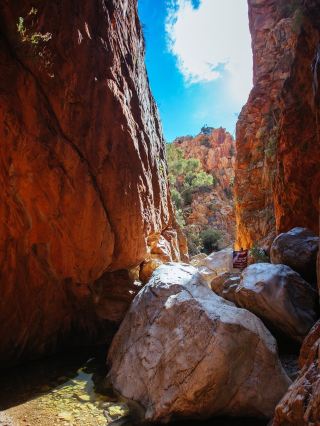 Alice Springs: A must-visit destination for road trips. 