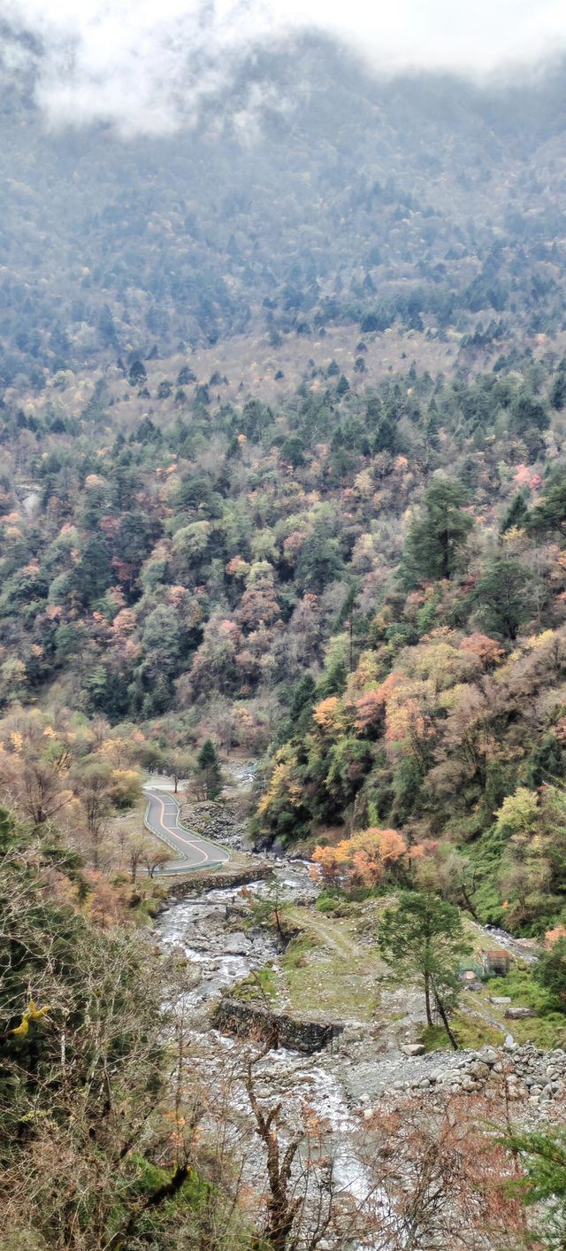 四川二郎神喇叭河‖「比起阿勒泰，這裡的秋天同樣迷人」。